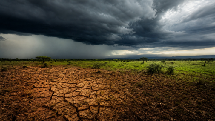 Climate Shifts in East Africa: Rainfall Patterns and Biodiversity