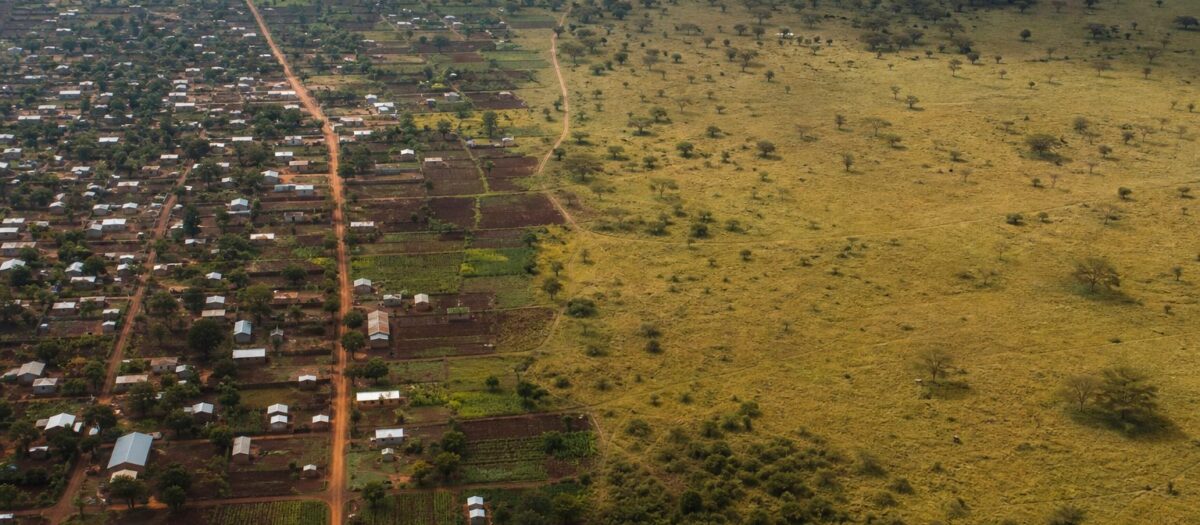 Africa’s Population Growth and Its Impact on Wildlife Corridors