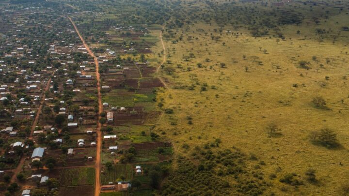 Africa’s Population Growth and Its Impact on Wildlife Corridors