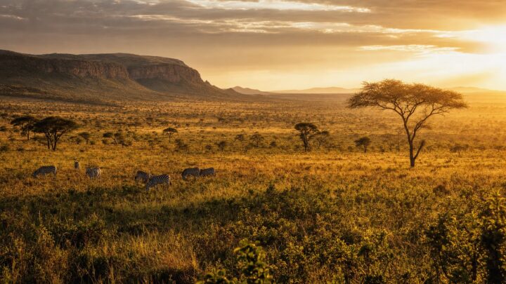 African Ecosystem Services: What They Are and Why They Matter